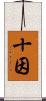 十因 Scroll