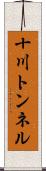 十川トンネル Scroll