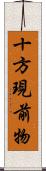 十方現前物 Scroll