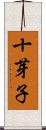 十芽子 Scroll