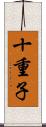十重子 Scroll