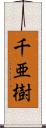 千亜樹 Scroll