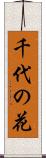 千代の花 Scroll