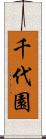 千代園 Scroll