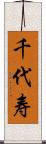 千代寿 Scroll