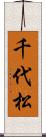千代松 Scroll