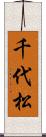 千代松 Scroll