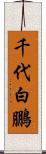千代白鵬 Scroll