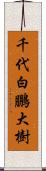 千代白鵬大樹 Scroll