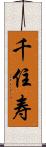 千住寿 Scroll