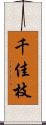 千佳枝 Scroll