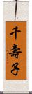 千壽子 Scroll