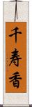 千寿香 Scroll