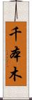 千本木 Scroll