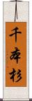 千本杉 Scroll