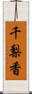千梨香 Scroll