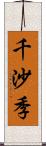 千沙季 Scroll