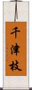 千津枝 Scroll