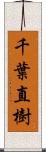 千葉直樹 Scroll