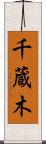 千蔵木 Scroll