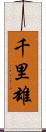 千里雄 Scroll