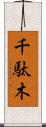 千駄木 Scroll
