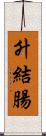 升結腸 Scroll