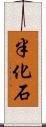 半化石 Scroll