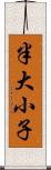 半大小子 Scroll