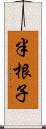 半根子 Scroll