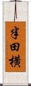 半田横 Scroll