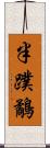 半蹼鷸 Scroll