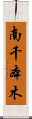 南千本木 Scroll