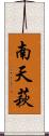 南天萩 Scroll