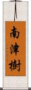 南津樹 Scroll
