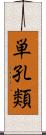 単孔類 Scroll