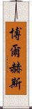 博爾赫斯 Scroll