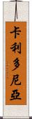 卡利多尼亞 Scroll