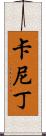 卡尼丁 Scroll