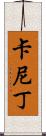 卡尼丁 Scroll