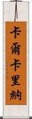 Calcarina Scroll