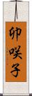 卯咲子 Scroll