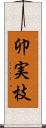 卯実枝 Scroll