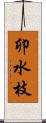 卯水枝 Scroll