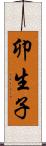 卯生子 Scroll