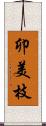 卯美枝 Scroll