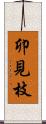卯見枝 Scroll