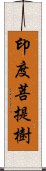 印度菩提樹 Scroll