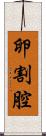卵割腔 Scroll