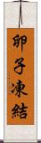 卵子凍結 Scroll
